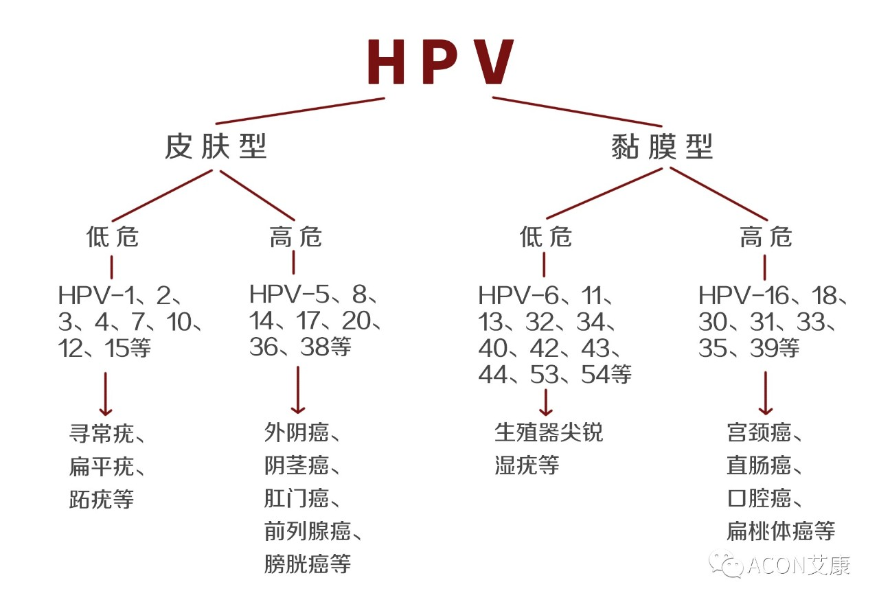 HPV疫苗有必要打吗？二价、四价、九价要如何选择！