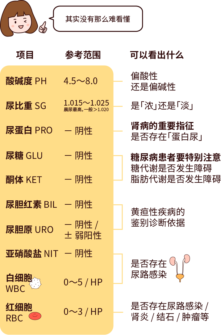 排尿黄、异味大，可能是身体在报警！